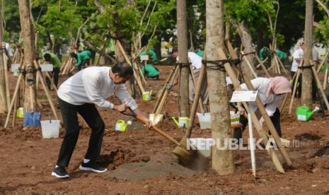 Presiden Joko Widodo mengikuti kegiatan seremoni penanaman pohon di Hutan Kota Kawasan Industri Pulo Gadung, Jakarta Timur, Rabu (29/11/2023). Penanaman sekitar 2000 pohon yang dilakukan  serentak di wilayah Jakarta, Bogor, Depok, Tangerang dan Bekasi ini merupakan komitmen pemerintah dalam upaya pemulihan lingkungan dan penanganan polusi udara.