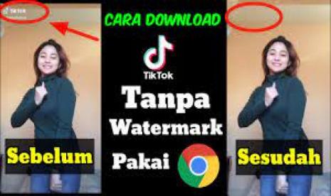 Tiktok: Download Video Tiktok tanpa Watermax di SaveFrom TikTok