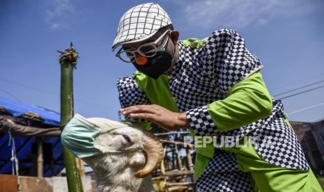 Pedagang menggunakan kostum badut memasangkan masker pada domba yang dijual untuk keperluan kurban di Jalan Babakan Loa, Cimahi Utara, Kota Cimahi, Selasa (13/7). Aksi tersebut bertujuan untuk menarik minat pembeli sekaligus sebagai bentuk kampanye protokol kesehatan pencegahan Covid-19 salah satunya dengan menggunakan masker 