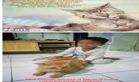 Mengenal Abu Hurairah Sang Bapak Kucing