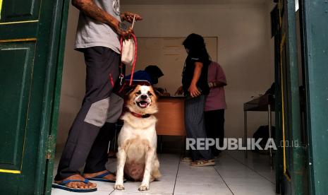 Warga membawa anjing untuk vaksinasi rabies di Poliklinik Hewan Kota Yogyakarta.