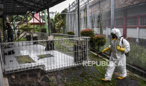 Petugas menyemprotkan cairan disinfektan (ilustrasi).