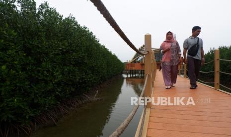 Pengunjung berjalan di Taman Mangrove Ketapang Tanjung Kait, Mauk, Tangerang, Banten, Ahad (10/12/2023). Menteri Koordinator Bidang Kemaritiman dan Investasi (Menko Marves) Ad Interim Erick Tohir pada konferensi tentang perubahan iklim COP28 menyatakan bahwa ekosistem mangrove bermanfaat untuk melindungi pantai, menjaga keanekaragaman hayati, ekowisata, serta perdagangan karbon dengan potensi investasi mencapai 10 juta dolar AS. 