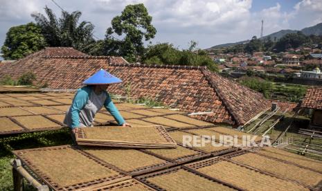  Program Dana Bagi Hasil Cukai Hasil Tembakau (DBHCHT) diharapkan dapat mengatasi permasalahan yang muncul, baik kemiskinan, pengangguran, pendidikan, kesehatan, dan tingkat kesejahteraan masyarakat.  Tampak petani tembakau mengangkat tembakau yang telah dijemur di Desa Banyuresmi, Sukasari, Kabupaten Sumedang, Senin (20/6/2022).