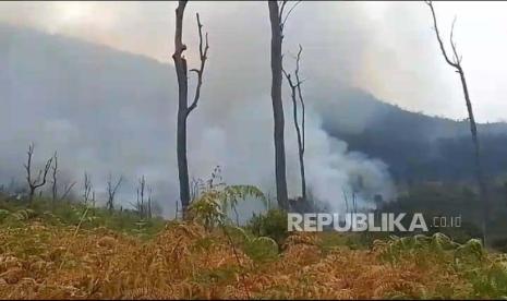 Petugas melakukan pemadaman lahan kebakaran di kawasan Gunung Papandayan. BPBD Garut sebut luas lahan kebakaran di Gunung Papandayan diperkirakan 50 hektare.