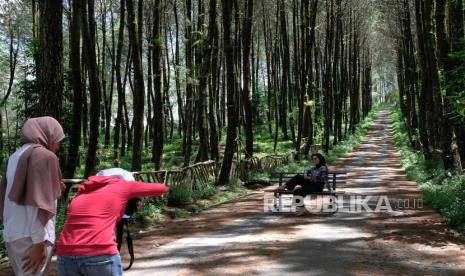 Pengunjung foto di lokasi wisata Top Selfie Hutan Pinus Kragilan, Pakis, Magelang, Jawa Tengah, Kamis (4/2/2021). Tempat wisata di kawasan Taman Nasional Gunung Merbabu yang dikelola oleh Perhutani bersama warga sekitar tersebut sepi pengunjung sejak pandemi COVID-19. 