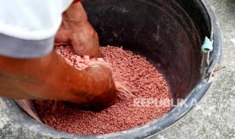 Petani menyiapkan pupuk NPK di area persawahan Gamping , Sleman, Yogyakarta, Kamis (13/1). Aparat gabungan Polres dan Kodim Nganjuk menangkap dan mengungkap kasus penyalahgunaan 111 ton pupuk bersubsidi oleh dua agen pupuk nakal di Nganjuk, Jawa Timur, Kamis (20/1/2022).