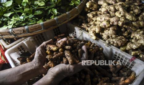 Pedagang menunjukkan rempah-rempah dagangannya di Pasar Ciroyom, Kota Bandung, Senin (16/3). Menurut pedagang pasca merebaknya virus Corona (Covid-19) di Indonesia berbagai jenis rempah seperti jahe, kunyit, temulawak yang bermanfaat untuk meningkatkan daya tahan tubuh itu harganya merangkak naik hingga 15 persen dan permintaannya naik hingga dua kali lipat dari hari sebelumnya