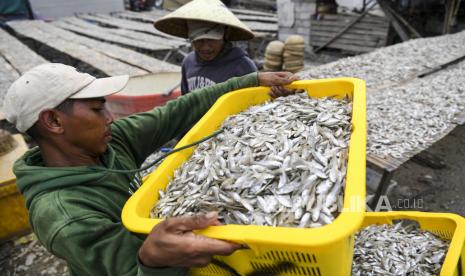 Warga mengangkat ikan beseng-beseng (Marosatherina ladigesi) yang telah dijemur (ilustrasi). Pemerintah Provinsi Kepulauan Riau meminta Kementerian Kelautan dan Perikanan (KKP) melegalkan sejumlah pelabuhan rakyat yang selama ini telah dimanfaatkan nelayan untuk menjual hasil tangkapannya.