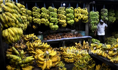 Penjual menata buah pisang, (ilustrasi).