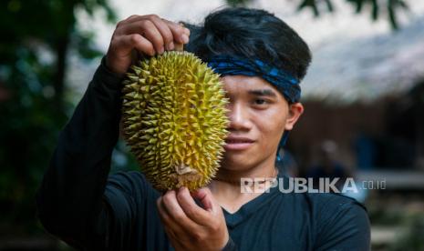 Warga Suku Baduy Luar menunjukan buah durian yang akan dijualnya di Desa Kenekes, Lebak, Banten, Rabu (20/1/2021). Memasuki musim buah durian pada bulan Januari hingga Februari, warga Suku Baduy menjual berbagai jenis buah durian lokal dari kawasan Baduy tersebut dengan harga Rp30-50 ribu per buah. 