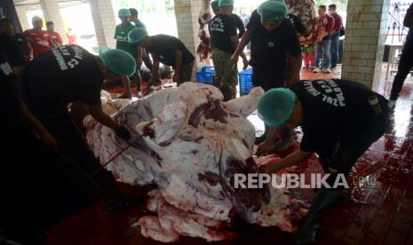 Panitia memotong daging hewan kurban yang telah disembelih di Rumah Potong Hewan (RPH) Masjid Istiqlal, Jakarta, Sabtu (1/7/2023). Pada tahun 2023 ini masjid Istiqlal menyembelih 43 ekor sapi dan 8 ekor kambing jumlah itu meningkat hampir 50 persen di banding tahun 2022 lalu. Sedangkan untuk pendistribusian daging kurban tidak dilakukan secara langsung, namun dilakukan melalui perwailan Masjid, Mushola, Yayasan atau Lembaga yang telah mengajukan permohonan berupa proposal. 