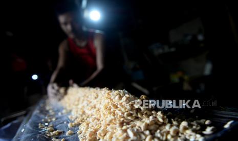 Pengrajin tempe beraktivitas di salah satu Sentra Produksi Tempe, Utan Panjang, Jakarta, Ahad (3/1). Sebagai bentuk protes melonjakanya harga kedelai impor yang mencapai Rp 9.500 per kilogram dari harga normal Rp7.200 per kilogram, Sejumlah produsen tahu dan tempe di Jabodetabek menggelar aksi mogok dagang pada 1 s/d 3 Januari 2021. Mereka meminta pemerintah untuk membuat skema tata niaga kedelai yang saling menguntungkan demi menjaga stabilitas harga untuk kenyamanan pelaku UKM tersebut yang jumlahnya cukup besar.Prayogi/Republika.