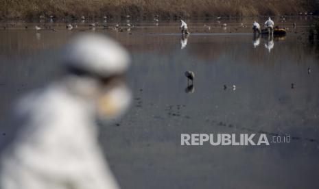 Kasus infeksi H3N8 yang juga dikenal flu burung dilaporkan di Provinsi Guangdong, China, yang berbatasan dengan wilayah otonom Hong Kong dan Makau.