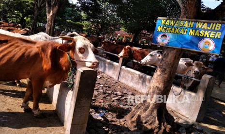 Purwakarta Larang Penjualan Hewan Qurban di Pinggir Jalan (ilustrasi).