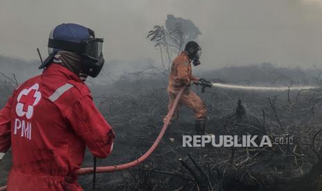 Petugas pemadam kebakaran dan relawan PMI melakukan proses pendinginan lahan gambut yang terbakar di Desa Natai Baru, Pangkalan Bun, Kotawaringin Barat, Kalimantan Tengah, Senin (2/1/2023). Berdasarkan data BPBD Kotawaringan Barat kebakaran hutan dan lahan (karhutla) di desa tersebut mencapai 20 hektare dengan tiga titik lokasi api dan sebanyak lima hektare lahan diantaranya berhasil dipadamkan oleh tim gabungan BPBD, Damkar, PMI serta para relawan. 