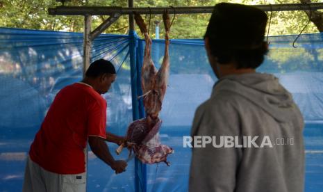 Panitia memotong daging kurban (ilustrasi). Penyembelihan hewan kurban harus sesuai aspek kehalalan dan kesehatan.