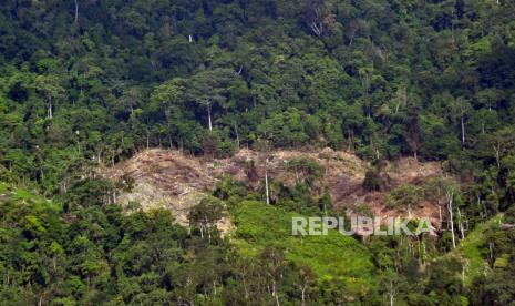 Foto kawasan hutan yang rusak akibat pembukaan lahan di perbukitan Sungai Pisang, Bungus, Padang, Sumatera Barat, Kamis (3/8/2017).