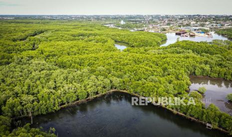 Foto udara hutan mangrove Teluk Balikpapan, Kariangau, Kalimantan Timur.