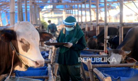 Ilustrasi pedagang qurban. Pedagang qurban yakin penjualan hewan qurban tetap stabil di tengah wabah PMK