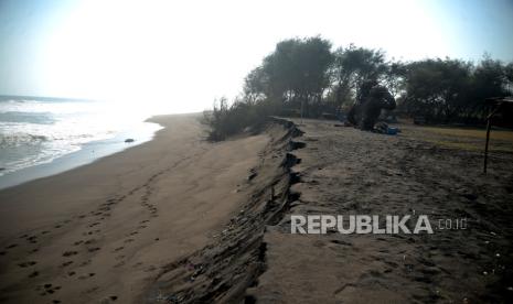 Kondisi bibir pantai yang terkena abrasi di Pantai Trisik, Kulonprogo, Yogyakarta, Selasa (1/8/2023). Sebanyak lima pohon besar jenis cemara udang yang ditanam sebagai penahan ombak ambruk imbas abrasi. Tiga warung di samping pohon juga terancam ambruk dan bisa membahayakan pengunjung. Abrasi kali ini merupakan yang terparah selama lima tahun terakhir, panjang pantai yang hilang terkikis mencapai 100 meter.