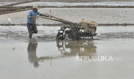 Petani membajak sawah di Desa Pasuruan Kidul, Kudus, Jawa Tengah. Ketua Prodi Doktoral Penyuluhan dan Komunikasi Pembangunan Sekolah Pascasarjana Universitas Gajah Mada (UGM), Subejo menyambut baik kenaikan Nilai Tukar Petani (NTP) dan Nilai Tukar Usaha Petani (NTUP) pada bulan Mei 2021 yang meningkat 0,44 persen dan 0,48 persen.