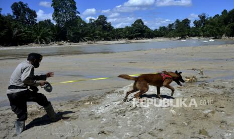 Anggota Kepolisian bersama anjing pelacak mencari korban yang tertimbun material lumpur banjir bandang di Desa Radda, Kabupaten Luwu Utara, Sulawesi Selatan, Ahad (19/7/2020). Sebanyak dua anjing pelacak dikerahkan guna mencari korban yang masih tertimbun material lumbur akibat diterjang banjir bandang. 