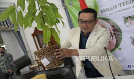 Gubernur Jawa Barat Ridwan Kamil menerima dan menyerahkan pohon secara virtual dalam rangka Gerakan Tanam+Pelihara 50 Juta Pohon dari Gedung Pakuan, Kota Bandung, Sabtu (11/7). pemprov Jawa Barat melalui Dinas Kehutanan pun sudah mengkalkulasi 50 juta pohon sebagai jumlah yang dibutuhkan untuk mengembalikan kualitas ekosistem di Jabar.