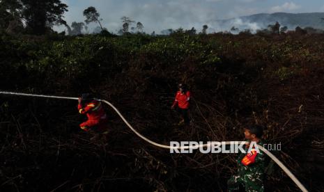 Kebakaran Lahan di Kolaka Timur Capai 273 Ha, Tim Berjibaku Padamkan Api
