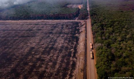 Hutan Amazon Brasil