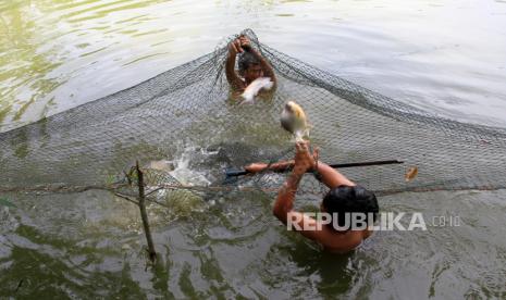 Kementerian Kelautan dan Perikanan (KKP) ingin mencetak lebih banyak kelompok budidaya ikan guna mengoptimalkan sektor budidaya ikan di Indonesia. Menteri Kelautan dan Perikanan Sakti Wahyu Trenggono mengatakan pengembangan budidaya ikan harus lebih masif karena budidaya itu lebih terkontrol. 