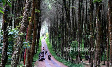 Wisata alam memberikan tubuh kesempatan mendengarkan suara dan aktivitas alam.