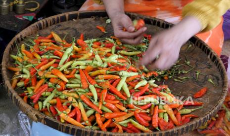 Pedagang memilah cabai rawit di los cabai Pasar Beringharjo, Yogyakarta, Jumat (5/3). Sepekan terakhir harga cabai rawit melambung tinggi. Kini harga cabai rawit masih di harga Rp 100 ribu hingga Rp 110 ribu per kilogram. Kenaikan harga ini imbas cuaca penghujan yang mengurangi produksi cabai.