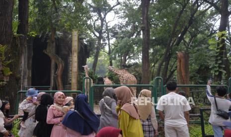 Pengunjung berwisata di Taman Margasatwa Ragunan di Jakarta, Kamis (23/5/2024). Libur Hari Raya Waisak dimanfaatkan warga DKI Jakarta  dan sekitarnya untuk berkunjung ke sejumlah tempat wisata termasuk Kebun Binatang Ragunan. Hingga pukul 12.00 WIB data pengunjung yang berwisata di kebun binatang tersebut pada libur Hari Raya Waisak mencapai 28.081 orang.