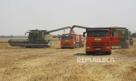 Petani memanen dengan menggabungkan mereka di ladang gandum dekat desa Tbilisskaya, Rusia