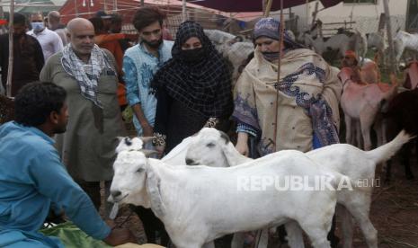  MWL Luncurkan Program Ternak Untuk Pakistan. Foto:  Sebuah keluarga membeli kambing di pasar ternak untuk menyambut hari raya Idul Adha atau Hari Raya Kurban, di Lahore, Pakistan, Jumat, 16 Juli 2021.