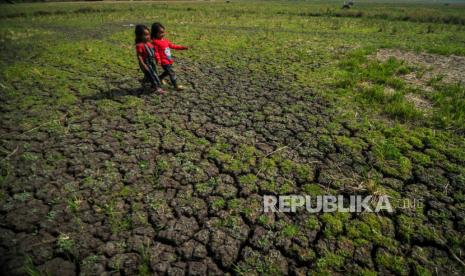 Dua orang anak bermain di lahan sawah yang mengalami kekeringan (ilustrasi)