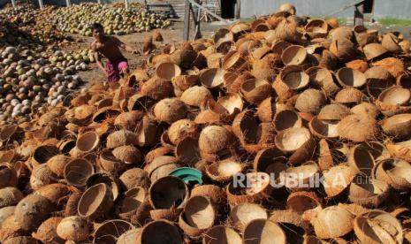 Selama Ramadhan, Volume Sampah Batok Kelapa Meningkat. Foto: Batok kelapa (Ilustrasi).