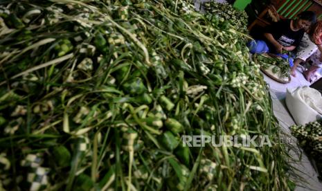 Cangkang ketupat Lebaran (ilustrasi) 