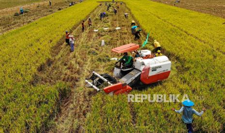 Foto udara petani memanen padi menggunakan mesin pertanian di Padang, Trucuk, Bojonegoro, Jawa Timur, Rabu (25/10/2023). Kementerian Pertanian menargetkan produksi beras dalam negeri mencapai 35 juta ton pada 2024 dan jumlah ini naik dibandingkan target 2023 yang sejumlah 31 juta ton 