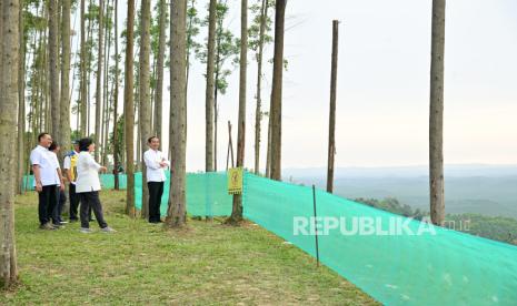 Presiden Jokowi dan sejumlah menteri saat menikmati pemandangan pembangunan IKN di atas bukit, Jumat (22/9/2023).