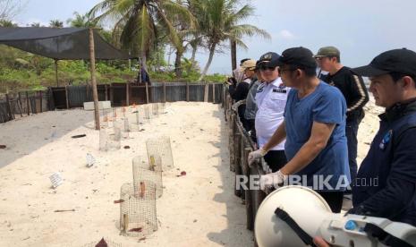 Rombongan Pemko Padang saat meninjau penangkaran penyu di Pulau Pandan