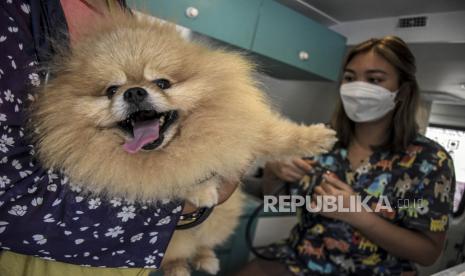 Anjing peliharaan. Ada sejumlah alasan yang membuat Muslim tidak diperbolehkan memelihara anjing.