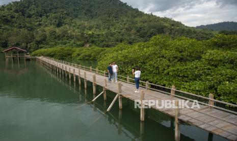 Sejumlah pengunjung berswafoto di atas jembatan kayu di kawasan wisata konservasi mangrove di Desa Koya, Teluk Tomori, Morowali Utara, Sulawesi Tengah, Kamis (15/9/2022). Pemerintah setempat mulai membenahi kawasan yang dikebangkan dengan memanfaatkan dana desa tersebut untuk dijadikan sebagai salah satu destinasi wisata unggulan di Teluk Tomori dengan menyediakan sejumlah fasilitas pendukung bagi pengunjung termasuk sarana transportasi berupa perahu. Unpad: Konsep Desa Wisata di Indonesia Bisa Menarik Wisatawan Mancanegara