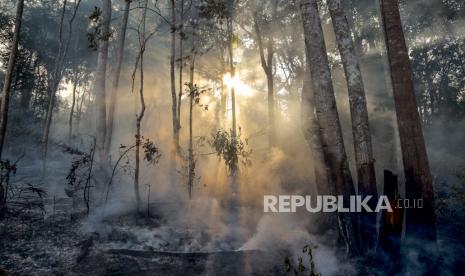 Asap mengepul akibat kebakaran di hutan di Kota Pekanbaru, Riau, Rabu (3/3/2021). 