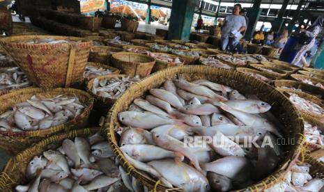 Petugas mengumpulkan ikan untuk dilelang di tempat pelelangan ikan desa Eretan Kulon, Kandanghaur, Indramayu, Jawa Barat, Senin (14/11/2022). 