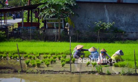 Iustrasi sudut Kota Padang. Ada sedikit penurunan kualitas udara di Kota Padang 