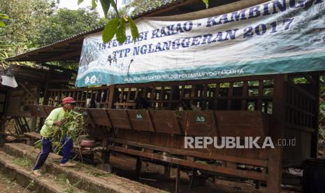 Ternak Warga Agam Dimangsa Satwa Liar Saat Berada di Kandang (ilustrasi).