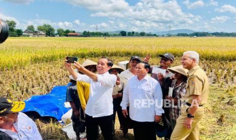 Presiden Joko Widodo meninjau panen raya padi dan berdialog dengan petani di Desa Lajer, Kecamatan Ambal, Kabupaten Kebumen, Jawa Tengah, Kamis (9/3).Dalam kesempatan ini, Jokowi dan Gubernur Jateng Ganjar Pranowo serta Menteri Pertahanan Prabowo Subianto tampak berswafoto bersama. 