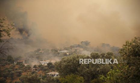  Hutan yang terbakar di kawasan Mazi yang diselimuti asap saat kebakaran hutan bergulung menuruni bukit menuju pantai, memaksa orang untuk dievakuasi, di Bodrum, Mugla, Turki, Minggu, 1 Agustus 2021. Lebih dari 100 kebakaran hutan telah dikendalikan di Turki, menurut para pejabat. Menteri kehutanan mentweet bahwa lima kebakaran terus berlanjut di tujuan wisata Antalya dan Mugla.